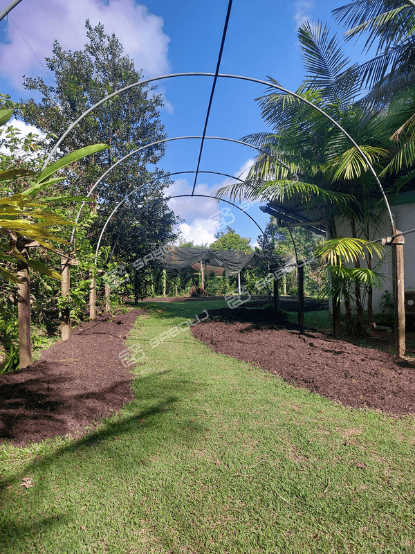 JARDIN BOTANIQUE DE GUYANE - MAISON DE LA VANILLE